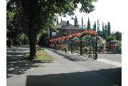 Blumen Peeters - GALLERY