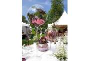 Blumen Peeters - GALLERY