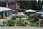 Blumen Peeters - GALLERY