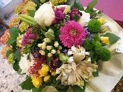 Blumen Polcher - GALLERY