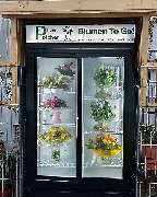 Blumen Polcher - GALLERY