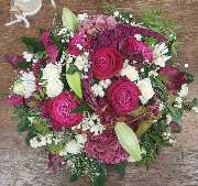 Blumen Polcher - GALLERY