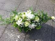 Blumen Polcher - GALLERY