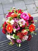 Blumen Polcher - GALLERY