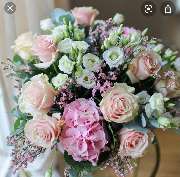 Blumen Polcher - GALLERY