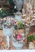 Blumen Polcher - GALLERY