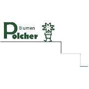 Blumen Polcher - LOGO