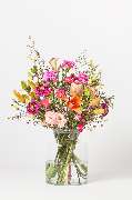 Blumen Pur - GALLERY