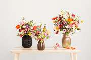 Blumen Pur - GALLERY