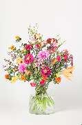 Blumen Pur - GALLERY