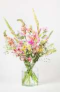 Blumen Pur - GALLERY