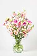 Blumen Pur - GALLERY