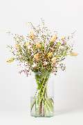 Blumen Pur - GALLERY