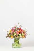 Blumen Pur - GALLERY