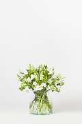 Blumen Pur - GALLERY