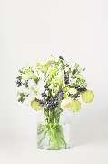 Blumen Pur - GALLERY