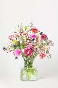 Blumen Pur - GALLERY
