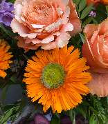 Blumen REIBOLD - GALLERY