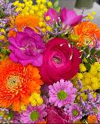 Blumen REIBOLD - GALLERY