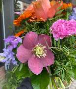 Blumen REIBOLD - GALLERY