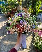 Blumen REIBOLD - GALLERY