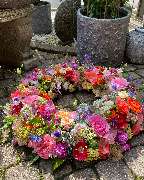 Blumen REIBOLD - GALLERY