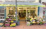 Blumen Risse Blumenladen Essen-Steele - GALLERY