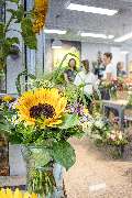 Blumen Risse Blumenladen Münster-Mauritz - Innenansicht mit Sonnenblumen im Blumen-Risse Blumenladen in Münster-Mauritz.