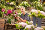 Blumen Risse Blumenladen Wesseling - GALLERY