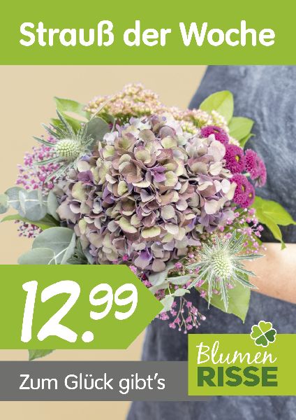 Blumen Risse Blumenmarkt Germersheim - Angebotsstr …