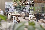Blumen Risse Café Frechen - GALLERY