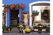 Blumen Rosenrot - GALLERY