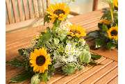 Blumen Rosenrot - GALLERY