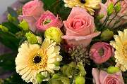 Blumen Rosl - GALLERY