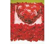 Blumen-Schmied - GALLERY