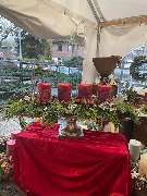 Blumen Schmitz - GALLERY