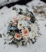 Blumen Schultz - GALLERY