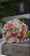 Blumen Schultz - GALLERY
