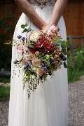 Blumen Schultz - GALLERY