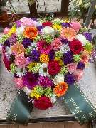 Blumen Sebastian Stransky - GALLERY