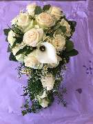 Blumen Sebastian Stransky - GALLERY