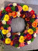 Blumen Sebastian Stransky - GALLERY