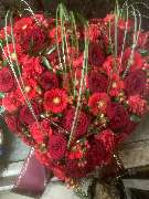 Blumen Sebastian Stransky - GALLERY