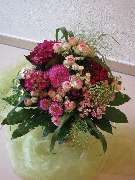 Blumen Siebrecht - GALLERY