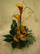 Blumen Siebrecht - GALLERY