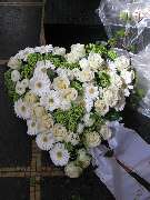 Blumen Siebrecht - GALLERY