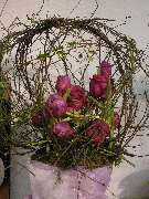 Blumen Siebrecht - GALLERY