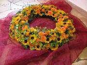 Blumen Siebrecht - GALLERY