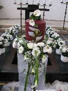 Blumen Siebrecht - GALLERY