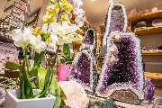 Blumen Sohn Mineralien, Tee & Pflanzen | Köln - Blumen Sohn